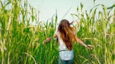 Uzun akan saçlı küçük bir kız bir alan yüksek yeşil çim ile çalışır. Mavi gökyüzü karşılamak için kollarını çocuk biterse