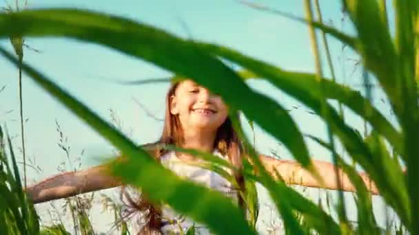 Uma menina com cabelo longo fluindo corre um campo com uma grama verde alta. A criança corre os braços para fora para encontrar o céu azul — Vídeo de Stock