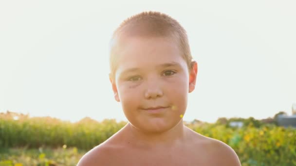 Porträt eines pummeligen Jungen mit einem blauen Auge auf dem Hintergrund einer grünen Wiese, einem Kind mit nacktem Oberkörper und blauen Flecken im Gesicht, zurückhaltendem Lächeln — Stockvideo