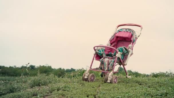 Leere alte Kinderwagen in einem Feld gegen den Himmel, ein Kinderwagen ohne Kind — Stockvideo