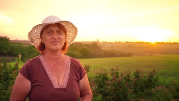 茶色の t シャツと白い帽子夕日に対して高齢者の女性の肖像画は、女性に見えるカメラと笑顔、農園で収穫労働者で夕方には — ストック動画