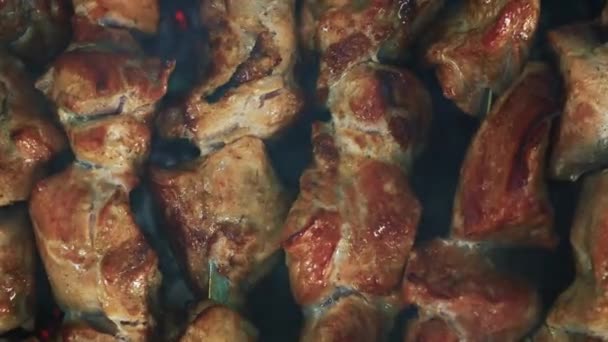 Meat on grill. Cooking shish kebab on skewers. Cooking pork meat on hot charcoal. Closeup of traditional picnic dish. Grilling meat — Stock Video