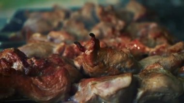 Izgara et. Şiş şiş üzerinde yemek. Sıcak kömür domuz eti yemek. Geleneksel piknik tabak portre. Izgara et