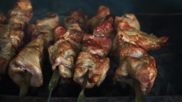 Meat on grill. Cooking shish kebab on skewers. Cooking pork meat on hot charcoal. Closeup of traditional picnic dish. Grilling meat — Stock Video
