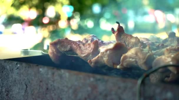 Carne fritta su uno sfondo di riflessi multicolori. Cucinare la carne di maiale su carbone caldo . — Video Stock