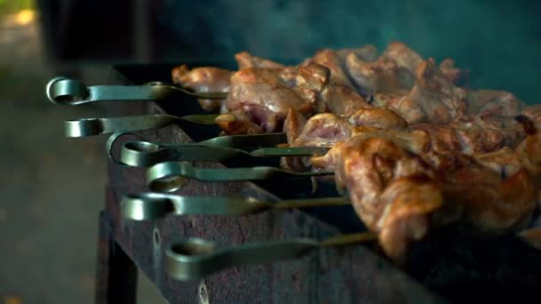 Carne no grelhador. Cozinhar kebab shish em espetos. Cozinhar carne de porco em carvão quente. Closeup de prato de piquenique tradicional. Carne grelhada — Vídeo de Stock