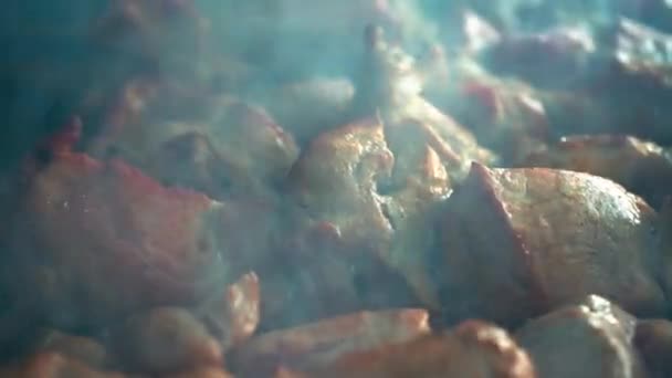 グリルの肉。シシカバブ串焼き料理。熱い炭に豚肉を調理します。伝統的なピクニック料理のクローズ アップ。肉を焼く — ストック動画