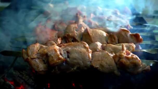 Carne a la parrilla. Cocinar shish kebab en pinchos. Cocinar carne de cerdo sobre carbón caliente. Primer plano del plato de picnic tradicional. Carne a la brasa — Vídeos de Stock