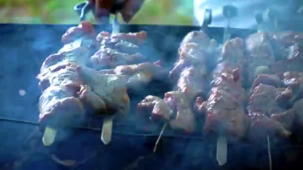 烤肉在烧烤。烹饪羊肉串烤肉串。用热木炭煮猪肉。特写的传统野餐菜。烤肉 — 图库视频影像