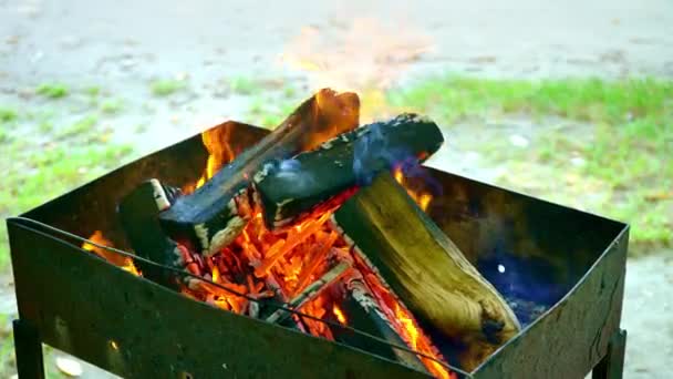 Bois de chauffage pour brûler les charbons dans le gril, gros plan. Grumes de bois brûlent dans le gril, le feu enveloppait l'arbre dans le gril, flammes, feu — Video