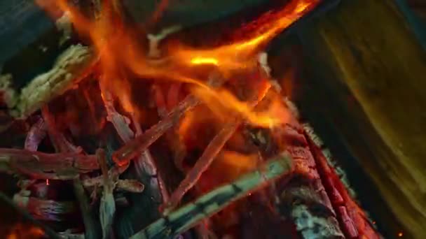 在烧烤中烧煤的木柴, 特写。木原木烧在烧烤炉, 火笼罩在烧烤树, 火焰, 火 — 图库视频影像