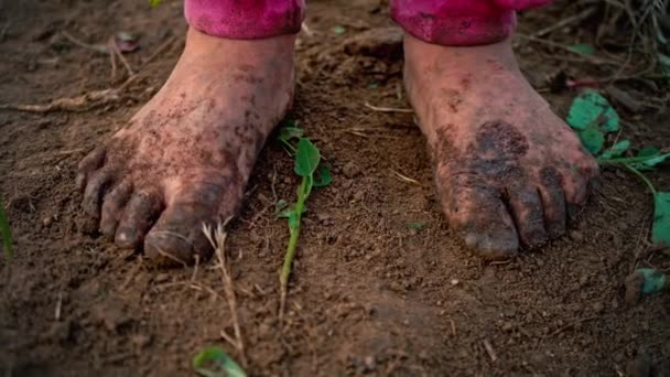 Γκρο πλαν ξυπόλυτος βρώμικα πόδια της ένα παιδί στέκεται στο ένα υγρό έδαφος — Αρχείο Βίντεο