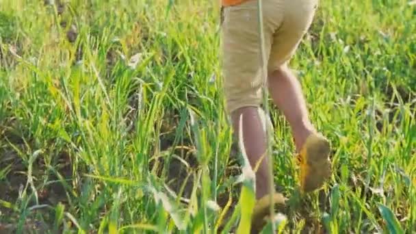 Un niño corre y golpea la pelota, joven futbolista. niño de 5 años patea una pelota de fútbol con los pies en la hierba verde alta en el campo, vista trasera en sus pies . — Vídeos de Stock