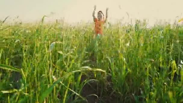 Un garçon dans un T-shirt orange vif saute hors de l'herbe verte haute, le gamin se cache dans le champ parmi l'herbe — Video