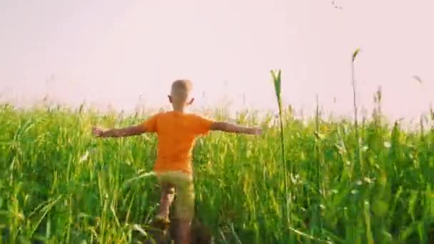 Ein Junge in einem leuchtend orangefarbenen T-Shirt rennt durch ein Feld mit hohem grünen Gras, das Kind streckt die Arme in den blauen Himmel — Stockvideo