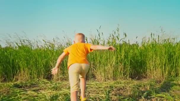 Un niño con una camiseta de color naranja brillante corre a un campo con una hierba verde alta, el niño corre sus brazos para encontrarse con el cielo azul — Vídeo de stock