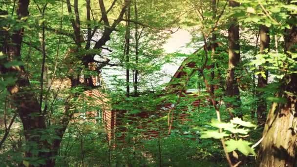 Dřevěný Dům Lese Dům Uprostřed Zelených Stromů Klidné Místo Pro — Stock video