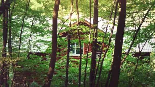 Casa de madera en el bosque. Una casa en medio de árboles verdes. Un lugar tranquilo para relajarse en el seno de la naturaleza — Vídeo de stock