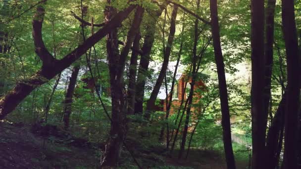 Casa de madeira na floresta. Uma casa no meio de árvores verdes. Um lugar tranquilo para relaxar no seio da natureza — Vídeo de Stock