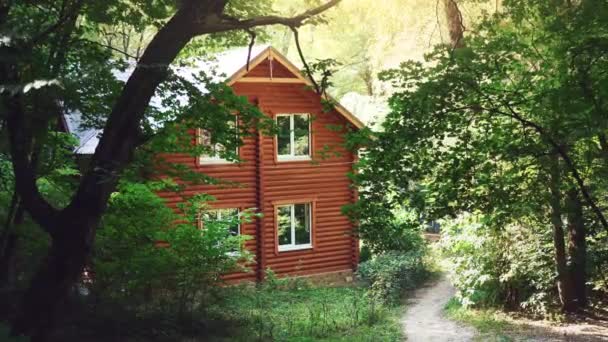 森の中の木造住宅。緑の木々 の中の家。自然の懐にリラックスして静かな場所 — ストック動画
