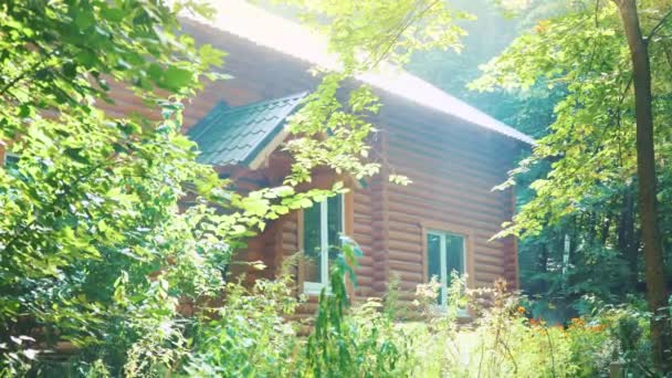 Casa de madera en el bosque. Una casa en medio de árboles verdes. Un lugar tranquilo para relajarse en el seno de la naturaleza — Vídeos de Stock