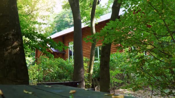 Casa de madeira na floresta. Uma casa no meio de árvores verdes. Um lugar tranquilo para relaxar no seio da natureza — Vídeo de Stock