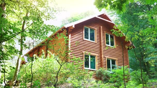Fából készült ház az erdőben. A ház közepén zöld fák. Egy csendes hely a kikapcsolódásra a természet kebelén — Stock videók