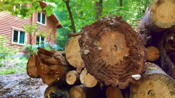 Frisch entwendete Baumstämme liegen in der Nähe eines Holzhauses in einem grünen Wald. Holzeinschlag. Baumstämme liegen übereinander. — Stockvideo