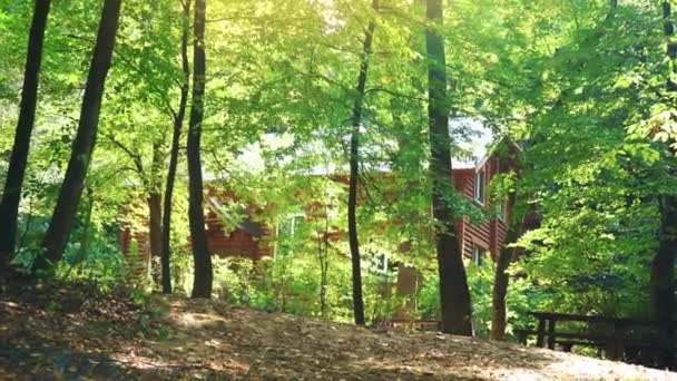 Drewniany dom w lesie. Dom w środku zielone drzewa. Ciche miejsce do wypoczynku na łonie natury — Wideo stockowe