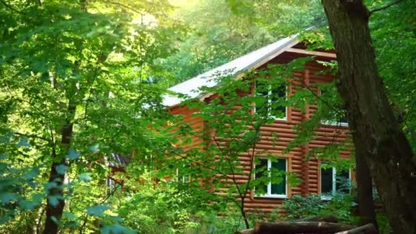 Casa de madeira na floresta. Uma casa no meio de árvores verdes. Um lugar tranquilo para relaxar no seio da natureza — Vídeo de Stock