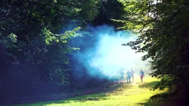 The sun shines through the leaves and fog. Smoke in the forest. Magic forest — Stock Video