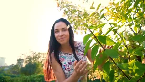 Ung kvinna löper lekfullt runt en grönskande träd i trädgården. Porträtt av en leende brunett med gropig kinder mot en grön park. Vackra unga kvinnan ser på kameran. Söt tjej i sommar — Stockvideo