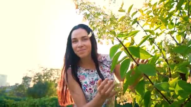 Jovem mulher brinca corre em torno de uma árvore verde no jardim. Retrato de uma morena sorridente com bochechas onduladas contra um parque verde. Mulher bonita olha para a câmera. Menina bonita no verão — Vídeo de Stock