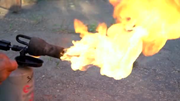 Fiaccola Benzina Lampada Arrosto Maiale Bruciatura Legna Mobili — Video Stock