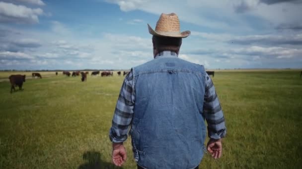 Een Boer Met Een Cowboyhoed Denim Een Herder Een Veld — Stockvideo