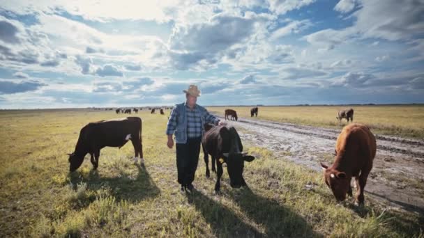 Fermier Heureux Caressant Taureau Éleveur Avec Chapeau Cow Boy Jean — Video