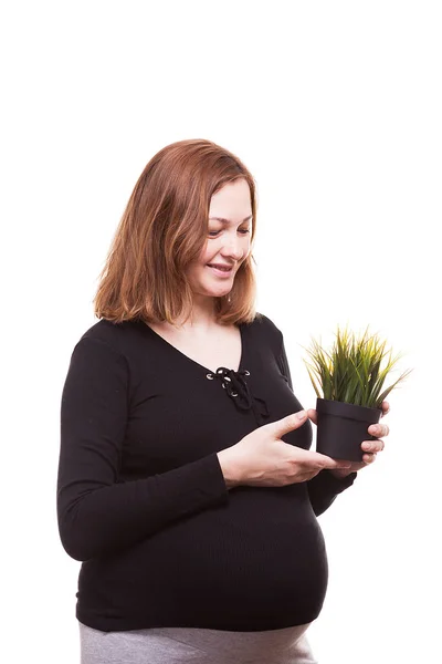 Lächelnde Schwangere mit Blick auf einen Topf Gras — Stockfoto