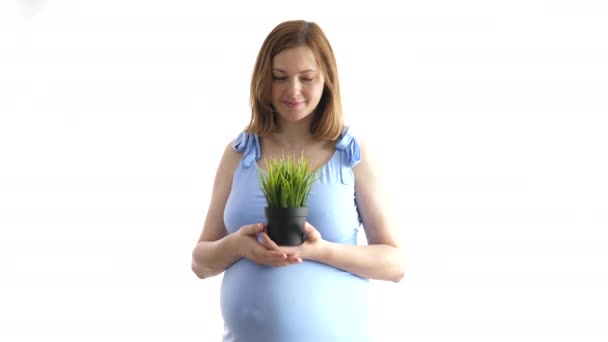 Schwangere auf weißem Hintergrund hält einen Topf mit Gras — Stockvideo