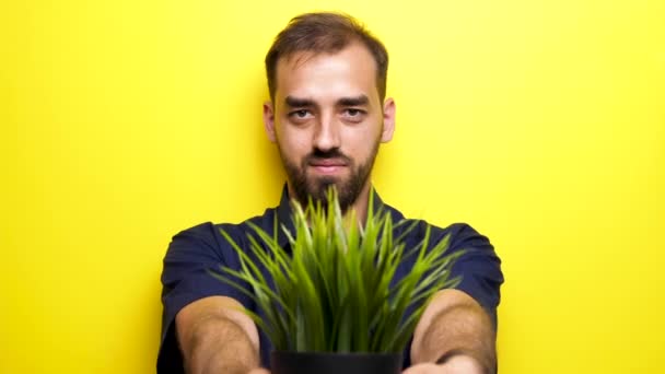 Rek focus man toont een pot met gras op de camear — Stockvideo