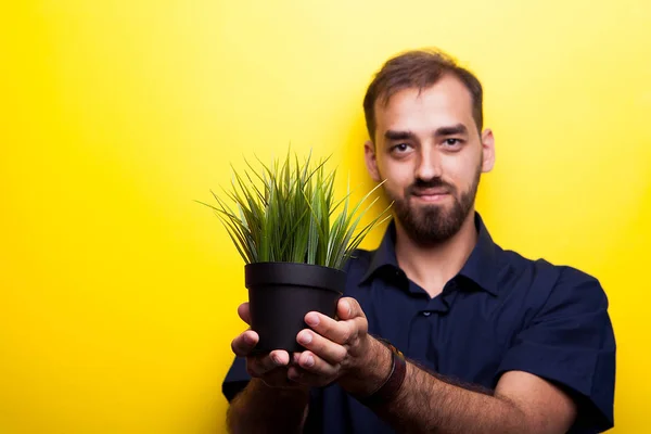 Süßer attraktiver junger Mann zeigt einen Topf Gras — Stockfoto
