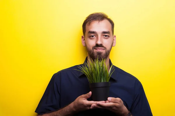 Uomo in camicia blu con in mano una pentola con erba — Foto Stock