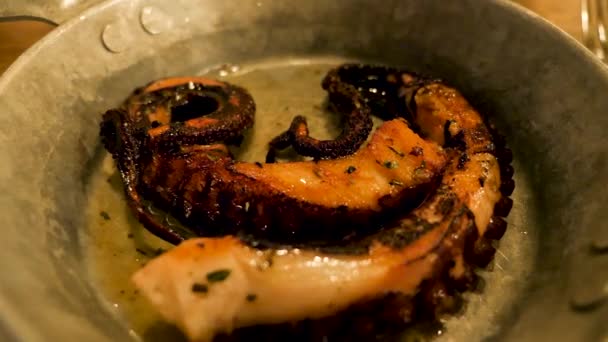 Nahaufnahme von Gourmet köstlichen gebratenen Oktopus — Stockvideo