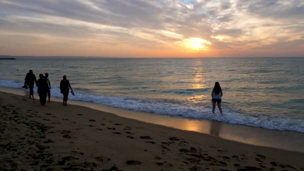 Silhouette des gens marchant sur la plage — Video