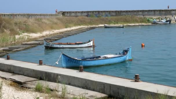 Kleine vissersboten in de haven — Stockvideo