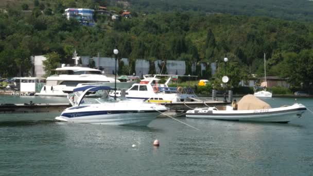Barche di lusso nel porto turistico — Video Stock
