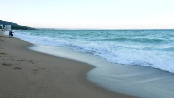 冬の日のビーチ — ストック動画