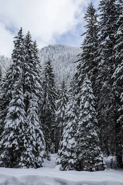 Herrliche und stille wunderschöne Winterlandschaft mit Schnee bedeckt — Stockfoto