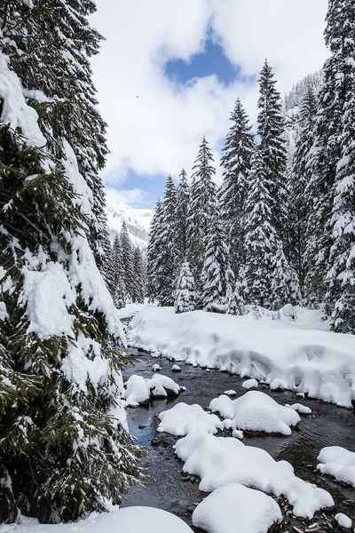 Magnífico y silencioso hermoso paisaje de invierno cubierto de nieve — Foto de Stock