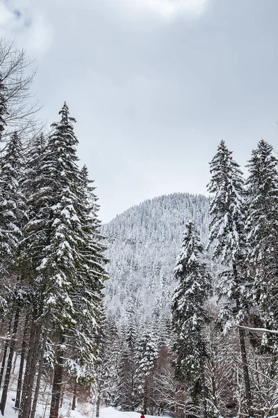 Magnífico y silencioso hermoso paisaje de invierno cubierto de nieve — Foto de Stock