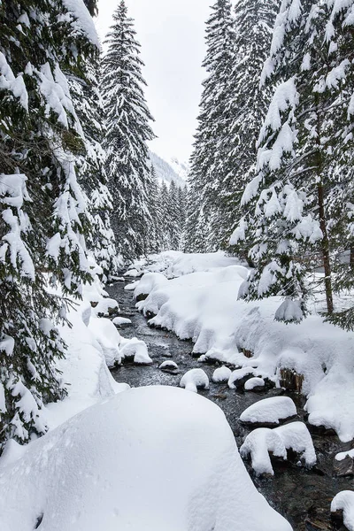 Rápidos de ríos turbulentos en bosques pintorescos durante el invierno — Foto de Stock
